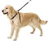 Harnais de dressage en nylon pour chien Taille 1