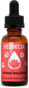 Velbecia FLEUR DE BACH sans alcool animal boulimie 30 ml