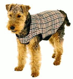 Manteau "English Style" pour chien 44cm