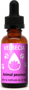 Velbecia FLEUR DE BACH sans alcool animal peureux 30 ml