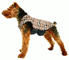 Manteau "English Style" pour chien 29cm