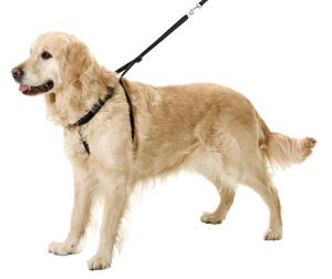 Harnais de dressage en nylon pour chien Taille 4