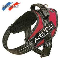 Harnais Activ Dog Pro de luxe T0 V 45 / 55 - C 20 / 25  pour chien 