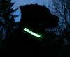 Collier lumineux USB pour chien visible à 500 m L 2,5 cm x 50 - 65 cm