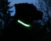 Collier lumineux USB pour chien visible à 500 m M 2,5 cm x 45 - 55 cm