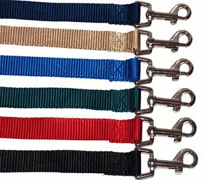 Laisse nylon pour chien 110 cm x 25 mm ( 6 couleurs)