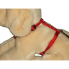 Harnais en nylon réglable pour chien 30 - 40 cm x 10 mm 