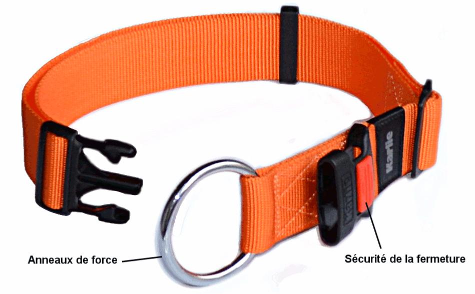 Air-Tag Collier Pour Chien, Colliers Pour Chien En Nylon Avec Rembourrage  En Néoprène, Réfléchissant Et Réglable Pour Petits [H673] - Cdiscount