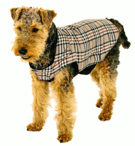 Manteau "English Style" pour chien 29cm