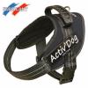 Harnais Activ Dog Pro de luxe T4 V 80 / 109 - C 50 / 55  pour chien 