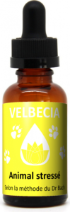 Velbecia FLEUR DE BACH sans alcool animal stressé 30 ml