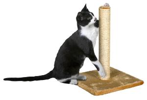 Arbre à chat avec 1 plateau 29 cm x 29 cm x 39 cm