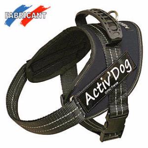Harnais Activ Dog Pro de luxe T1 V 60 / 75 - C 30 / 35  pour chien 