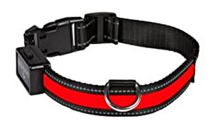 Collier lumineux USB pour chien visible à 500 m M 2,5 cm x 45 - 55 cm