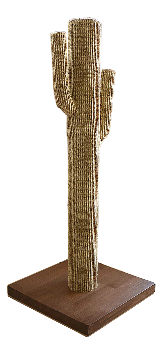 Cactus Design En Sisal Epais Sur Socle En Bois De Hetre Massif Griffoir Pour Chat Cactus Design En Sisal Epais Sur Socle En Bois De Hetre Massif Griffoir Pour Chat