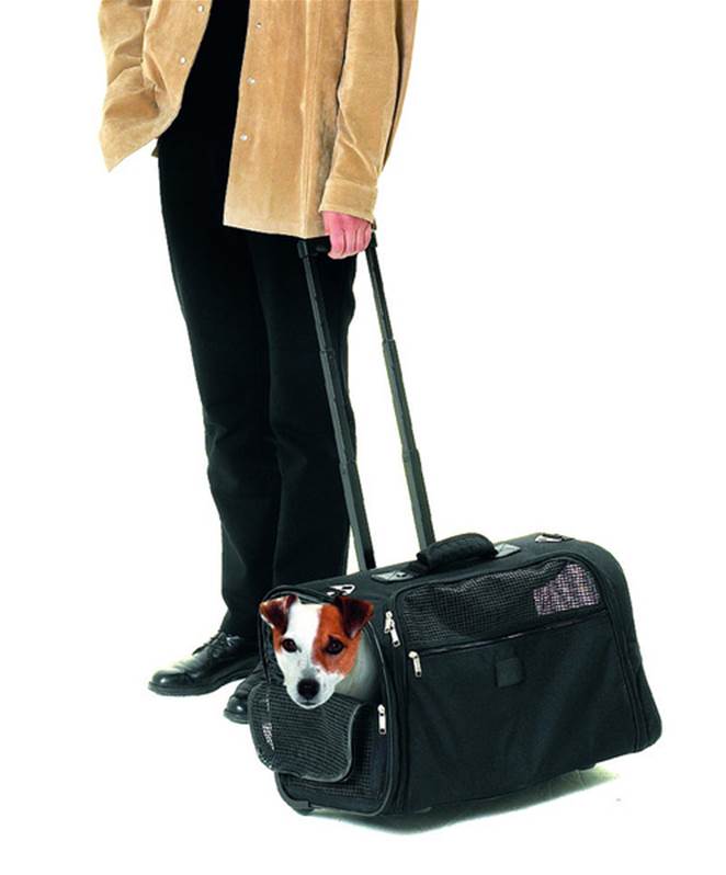 Valise A Roulettes Pour Chien Ou Chat 52 X 26 X H34cm Valise A Roulettes Pour Chien Ou Chat 52 X 26 X H34cm