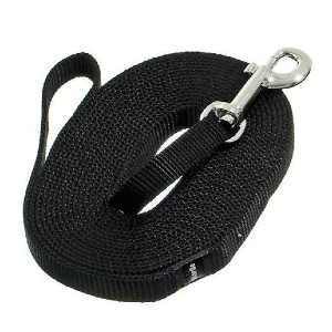 Longe de recherche en nylon pour chien 10 m x 15 mm